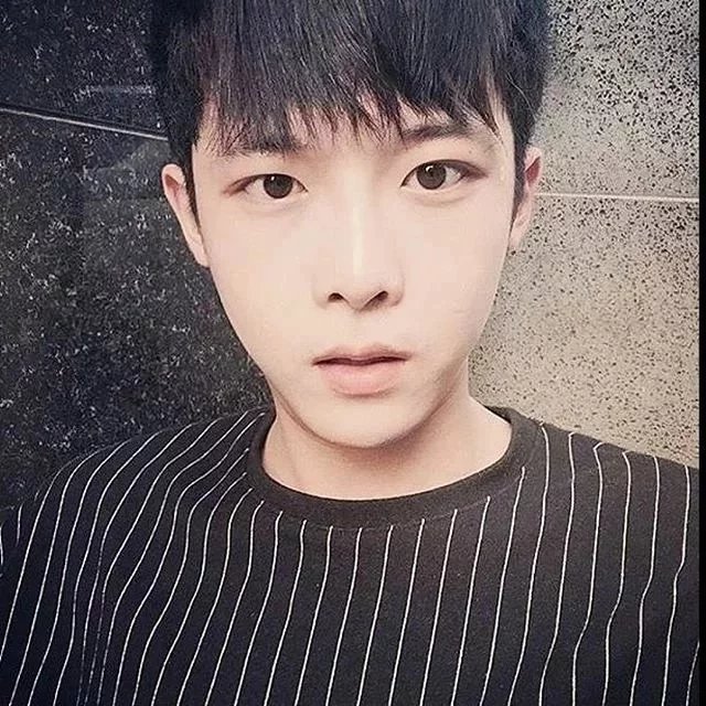 温雁轮丹