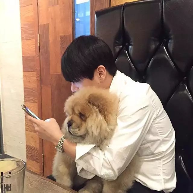 濮阳震琦佳