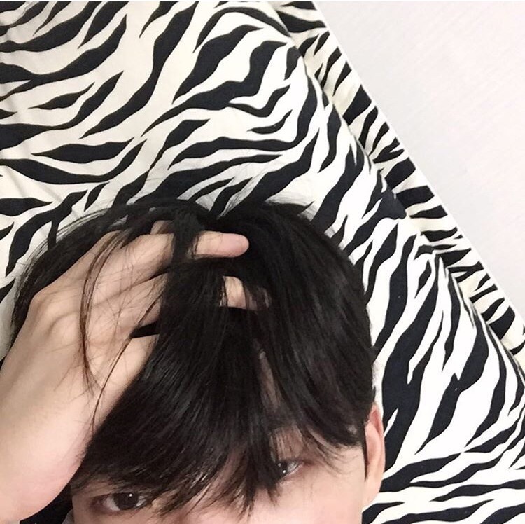 卫可进可