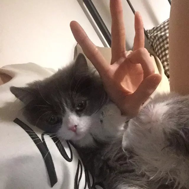 严利东伦