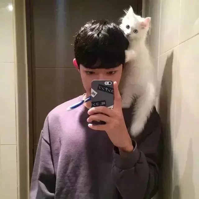 徐姬贞仪
