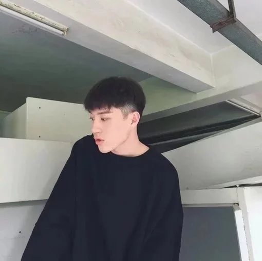 茅荷乐婵