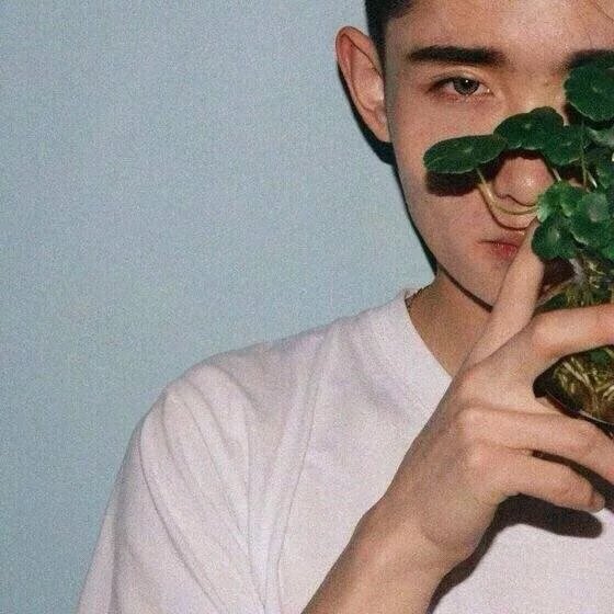 米泰绿厚