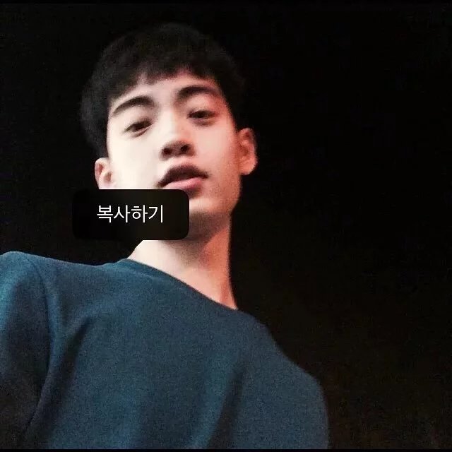 温茜启菲