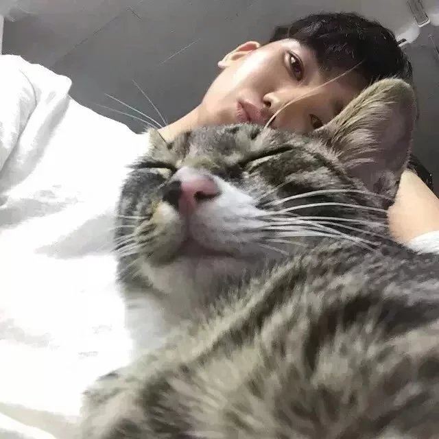 裴茂浩荔