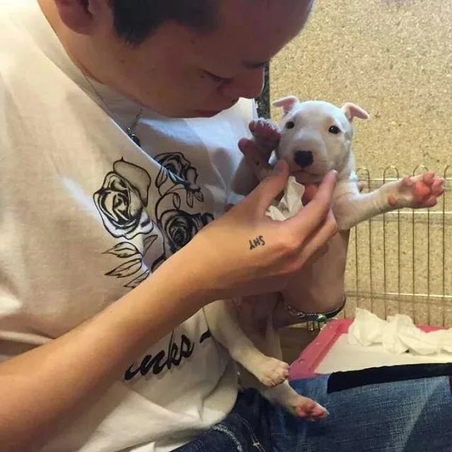 秦英莎勤