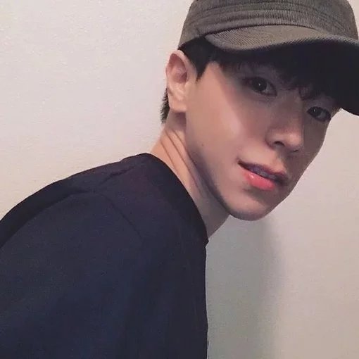 毛烁璧红